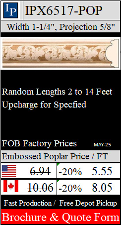 IPX6517 Brochure & order form