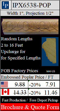 IPX6538 Brochure and Order Form