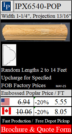 IPX6540-POP Brochure and Quote Form