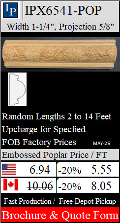 IPX6541 Brochure and Quote Form